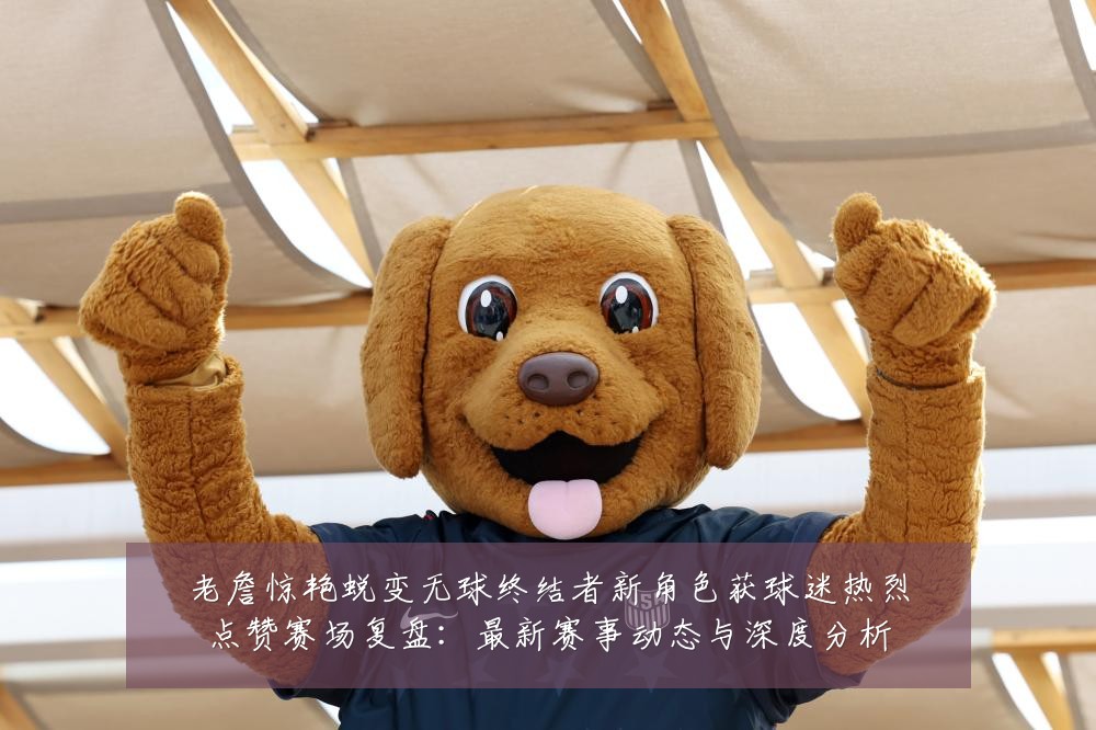 老詹惊艳蜕变无球终结者新角色获球迷热烈点赞赛场复盘:最新赛事动态与深度分析