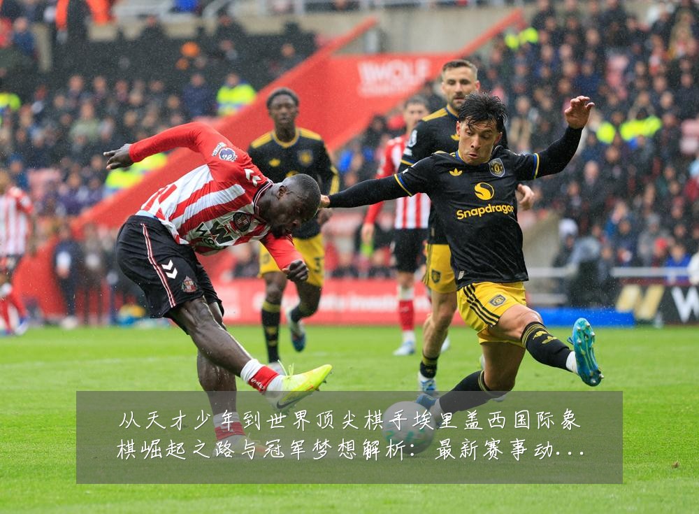 从天才少年到世界顶尖棋手埃里盖西国际象棋崛起之路与冠军梦想解析:最新赛事动态与深度分析